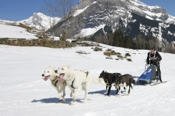 Kandersteg 2011