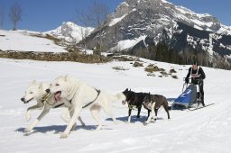 Kandersteg 2011