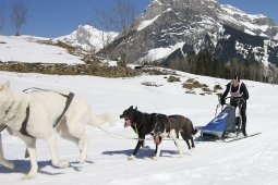 Kandersteg 2011