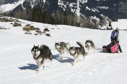 Kandersteg 2011