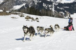 Kandersteg 2011