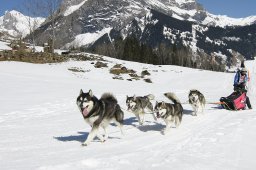 Kandersteg 2011