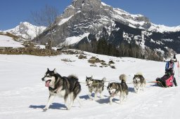 Kandersteg 2011