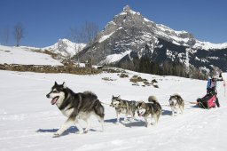 Kandersteg 2011