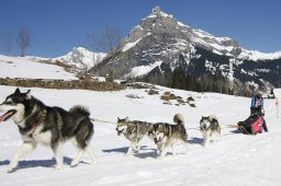 Kandersteg 2011