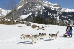 Kandersteg 2011