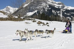 Kandersteg 2011