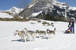 Kandersteg 2011