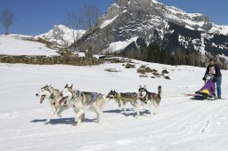 Kandersteg 2011