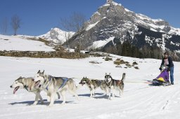 Kandersteg 2011