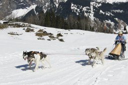 Kandersteg 2011