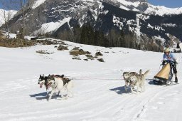 Kandersteg 2011