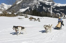 Kandersteg 2011