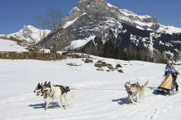 Kandersteg 2011