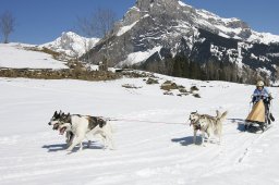 Kandersteg 2011