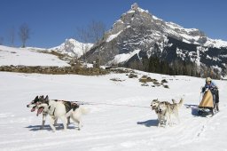 Kandersteg 2011