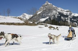 Kandersteg 2011