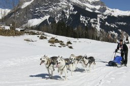 Kandersteg 2011