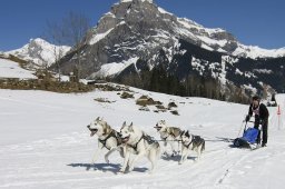 Kandersteg 2011