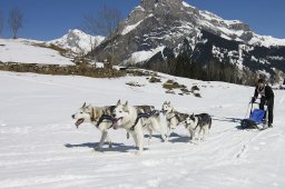 Kandersteg 2011