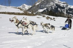 Kandersteg 2011