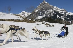 Kandersteg 2011