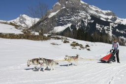 Kandersteg 2011