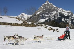 Kandersteg 2011