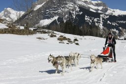 Kandersteg 2011