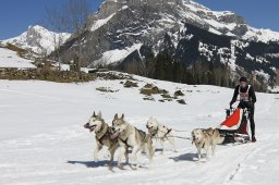 Kandersteg 2011