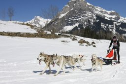 Kandersteg 2011