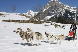 Kandersteg 2011