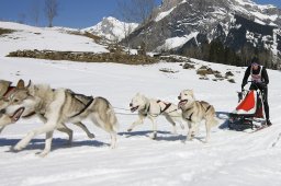 Kandersteg 2011