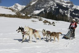 Kandersteg 2011