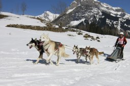 Kandersteg 2011