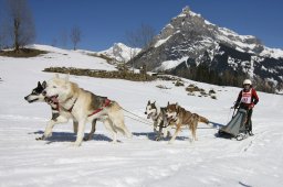 Kandersteg 2011