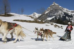 Kandersteg 2011