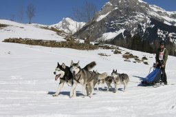 Kandersteg 2011