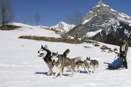 Kandersteg 2011