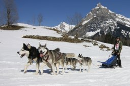 Kandersteg 2011