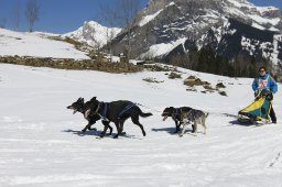 Kandersteg 2011