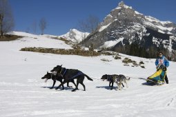 Kandersteg 2011