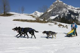 Kandersteg 2011