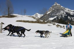 Kandersteg 2011