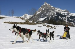 Kandersteg 2011