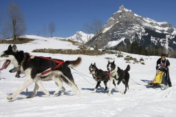 Kandersteg 2011