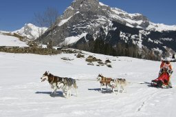 Kandersteg 2011