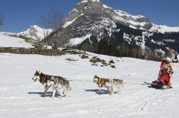 Kandersteg 2011