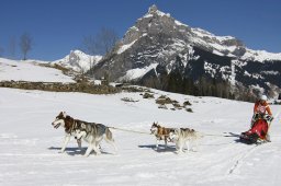 Kandersteg 2011