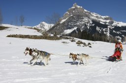 Kandersteg 2011